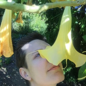 Fox trumpet in an Angel's Trumpet